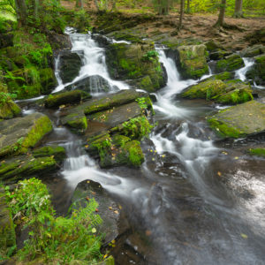Deutschland, Sachsen-Anhalt, Alexisbad, Harz, Wasserfall der Selke Deutschland, Sachsen-Anhalt, Alexisbad, Harz, Wasserfall der Selke